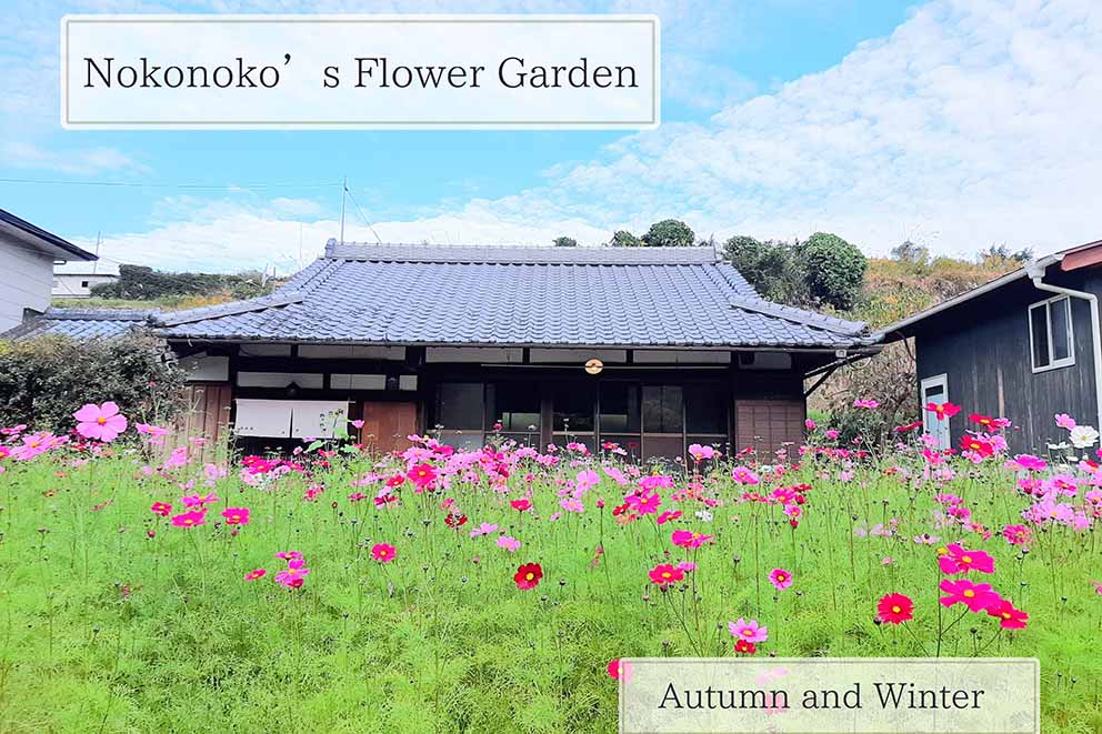 Guest House Noko Noko in fall and winter